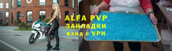 прущие грибы Елабуга