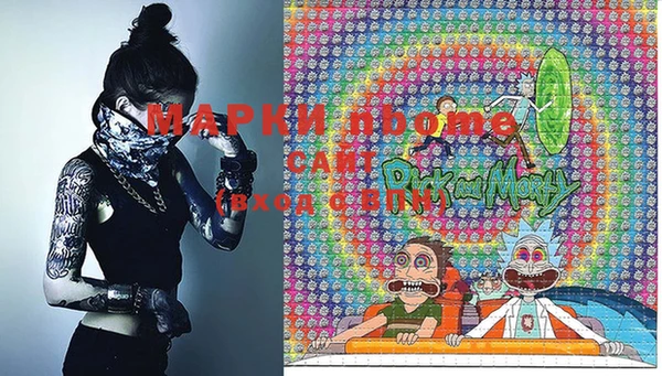 прущие грибы Елабуга