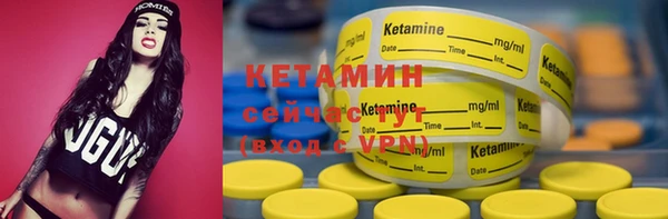 прущие грибы Елабуга