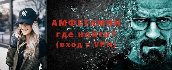 прущие грибы Елабуга
