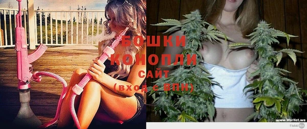 прущие грибы Елабуга
