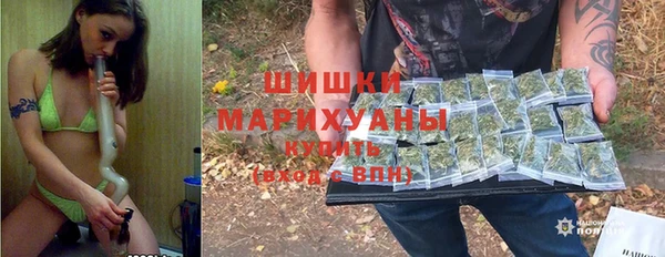 амф Дедовск