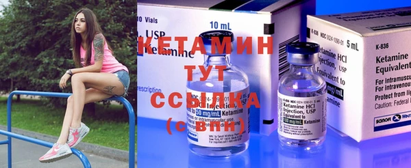прущие грибы Елабуга