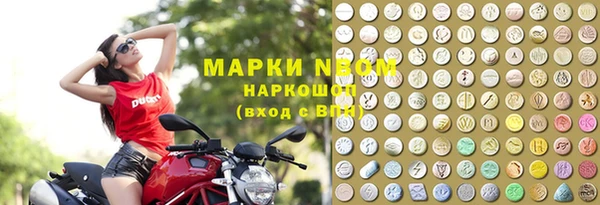прущие грибы Елабуга