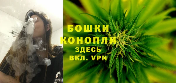 прущие грибы Елабуга