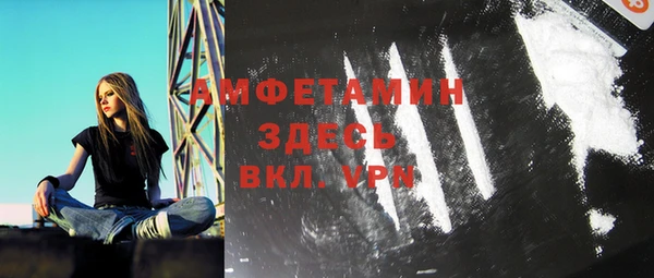 прущие грибы Елабуга