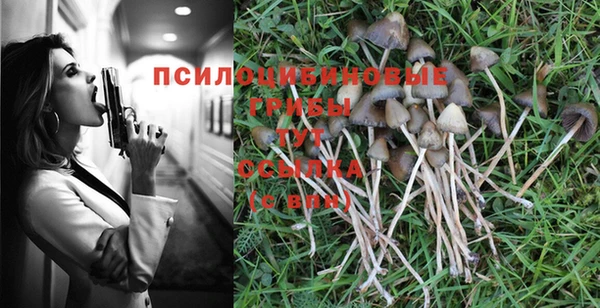 прущая мука Елизово