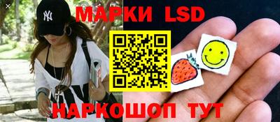 индика Заводоуковск