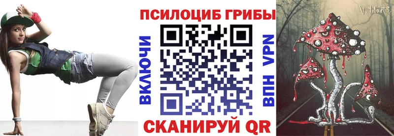 kraken вход Гулькевичи Галлюциногенные грибы GOLDEN TEACHER