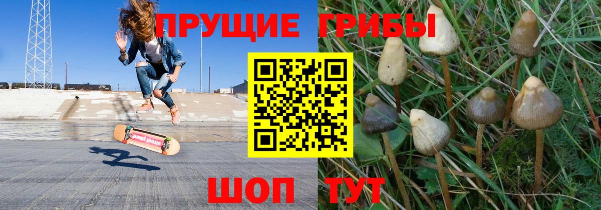 Галлюциногенные грибы ЛСД Гулькевичи