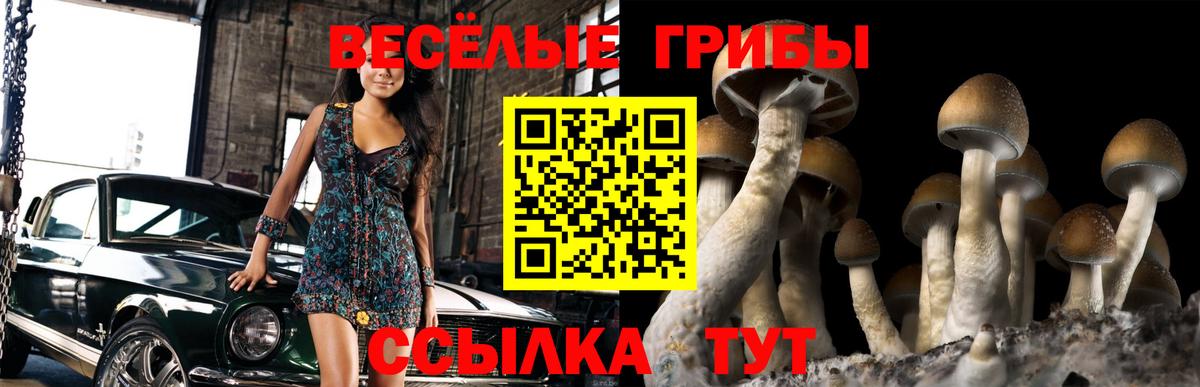 Псилоцибиновые грибы прущие грибы Гулькевичи
